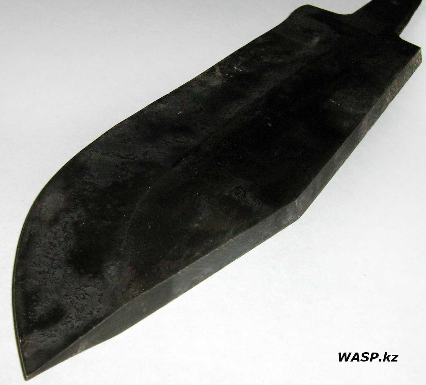 wasp.kz/25/14-09-2025-gafmaf-naf-4.jpg