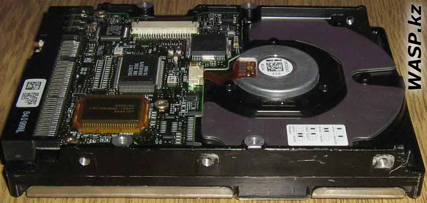 IBM Deskstar 8 DHEA-38451 HDD все данные