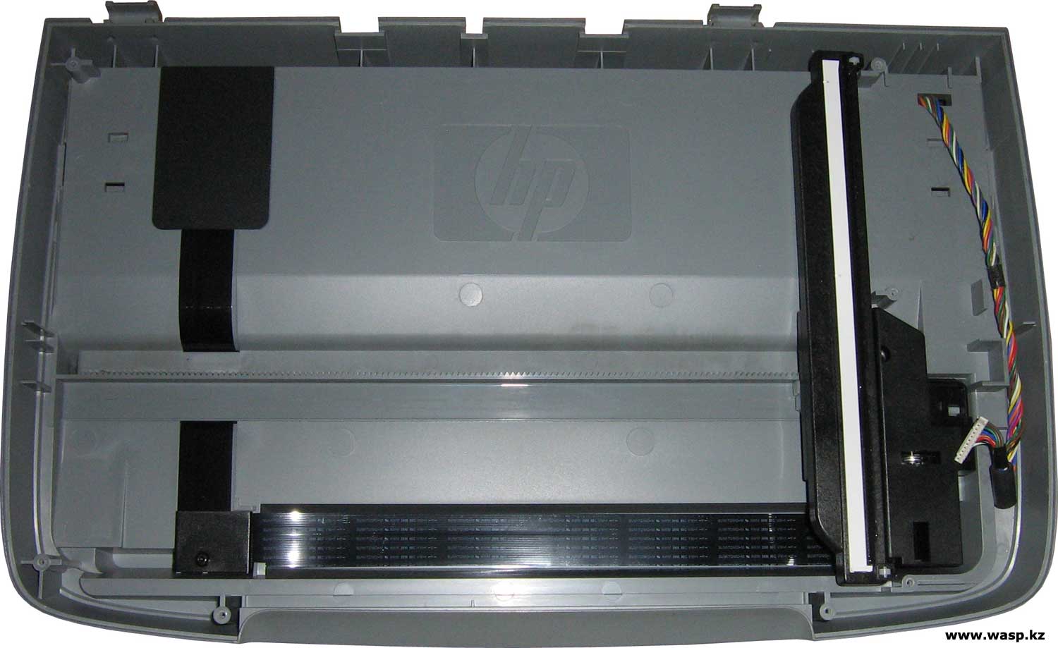 HP PSC1613 устройство сканера ремонт и разборка