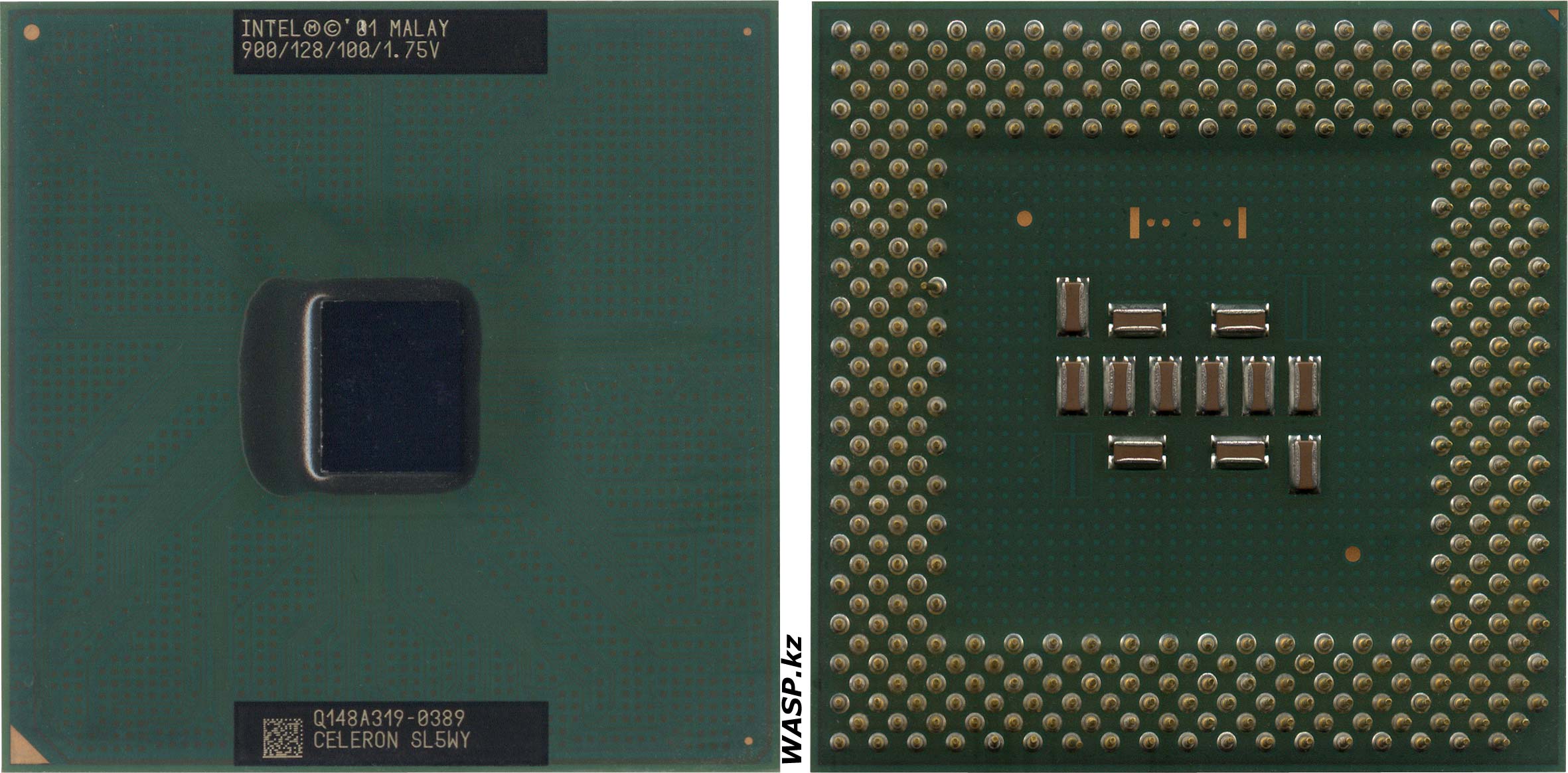 Intel Celeron SL5WY 900/128/100/1.75V обзор CPU